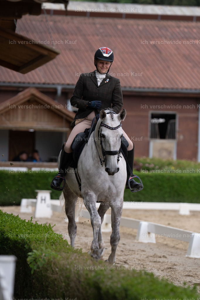 WS_DR_87_sinafilmart_IN00692 | working equitationturnier fotograf videograf stoibphotography marixx film working equitation deutschland reitsport turnierfotografie eventfotografie equestrian events