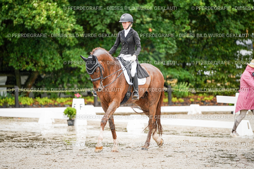 DSC09409 | Pferdegrafie