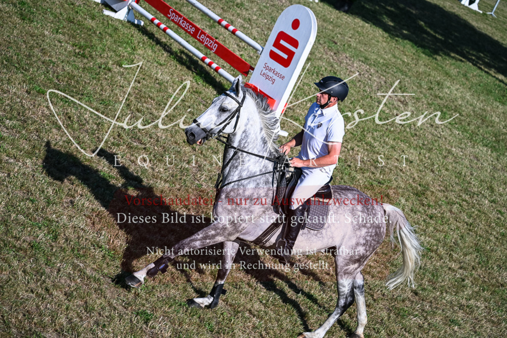 DSC_2565 | Pferde- und Turnierfotografie in Westsachsen. Pferdeportraits, Auftragszeichnungen und intuitive Kunst.