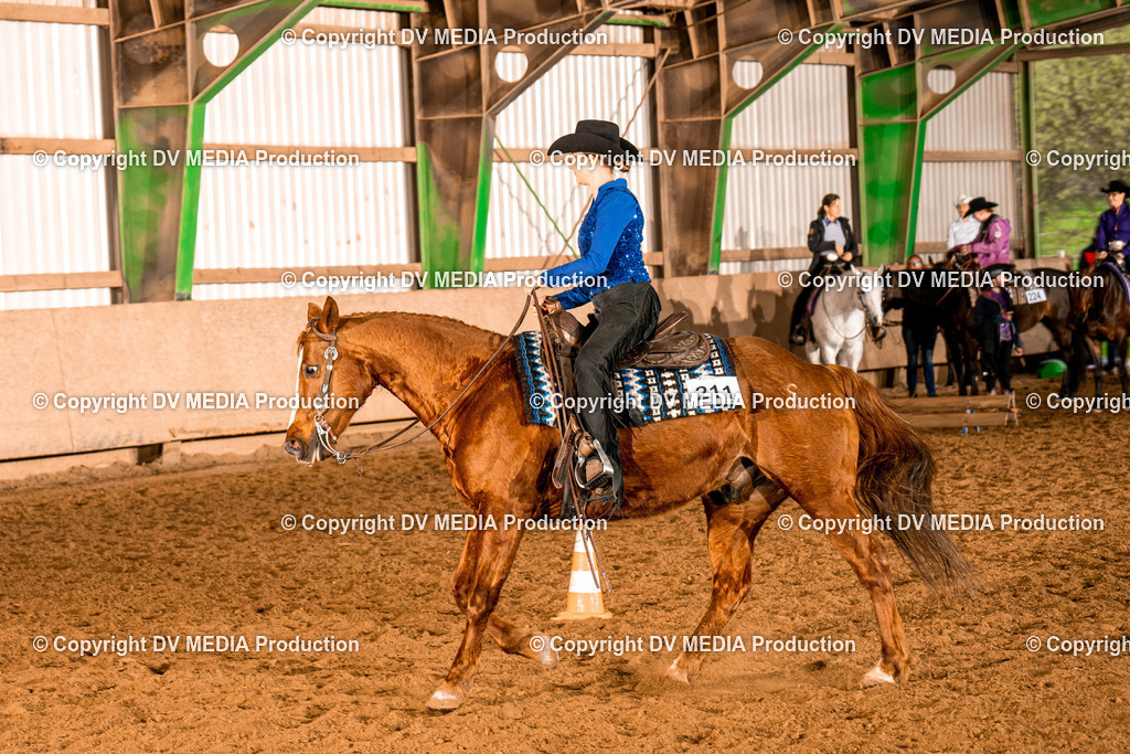 BAL00166 | dv-media-shop - Realisiert mit Pictrs.com