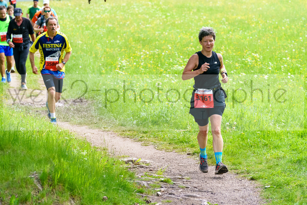 Rennsteiglauf Marathon 2024 | 25. Mai 2024 - 42,2 km von Neuhaus nach Schmiedefeld