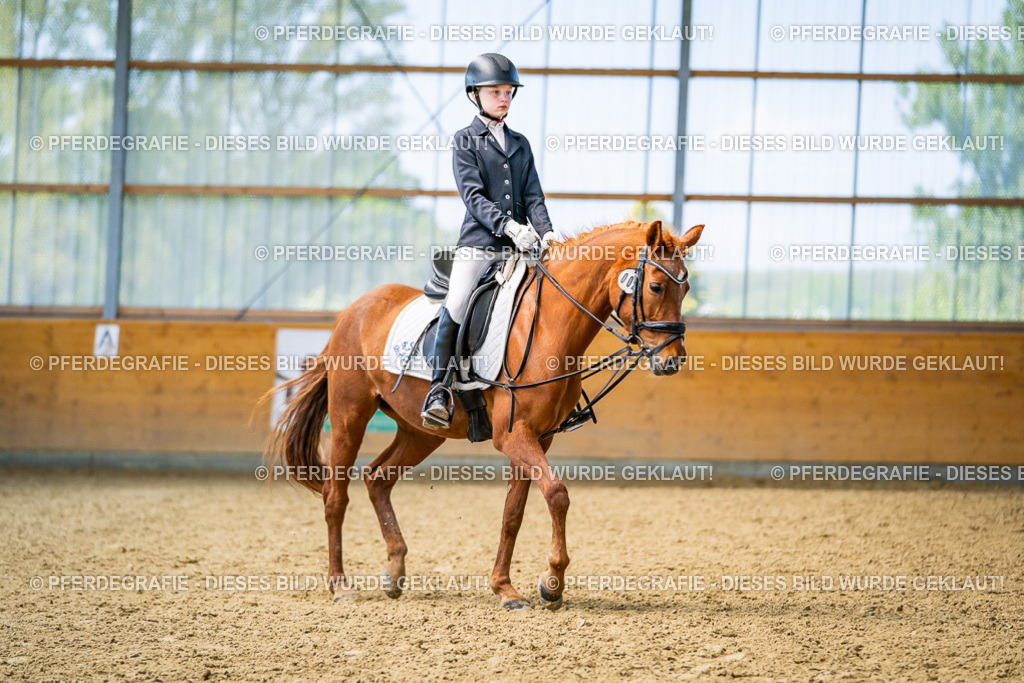 DSC03429 | Pferdegrafie