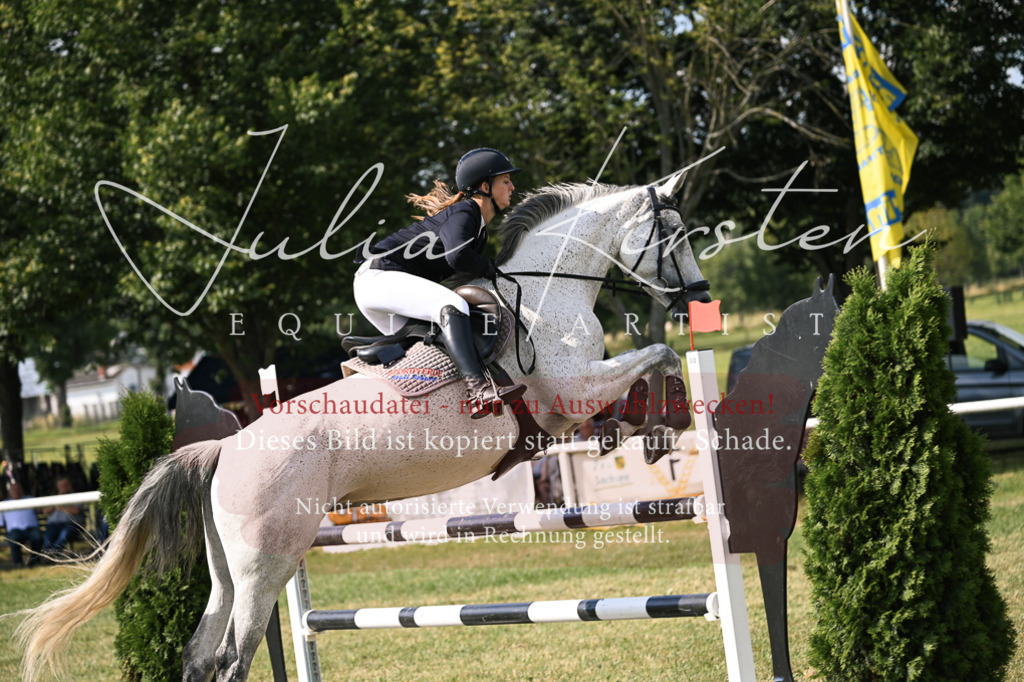 DSC_1053 | Pferde- und Turnierfotografie in Westsachsen. Pferdeportraits, Auftragszeichnungen und intuitive Kunst.