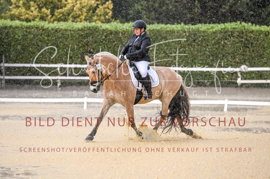 Schugtsche-Aluta25-54.Dressurprf.L1Trense-87 | Schugtsche Fotografie - Realisiert mit Pictrs.com