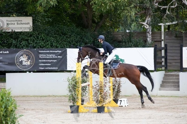 2B4A1585 | pixelfaenger - Realisiert mit Pictrs.com