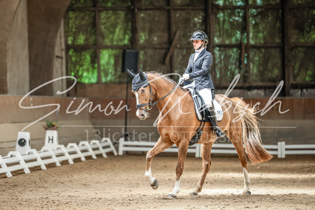 20250621-_3LI6553 | Tierfotografie Pferde, Hunde, Katzen, Haustiere.
Turnierfotografie Reitturniere, Reiten, Springreiten, Dressur in Hanau, dem Main-Kinzig-Kreis und dem Rhein-Main- Gebiet um Frankfurt