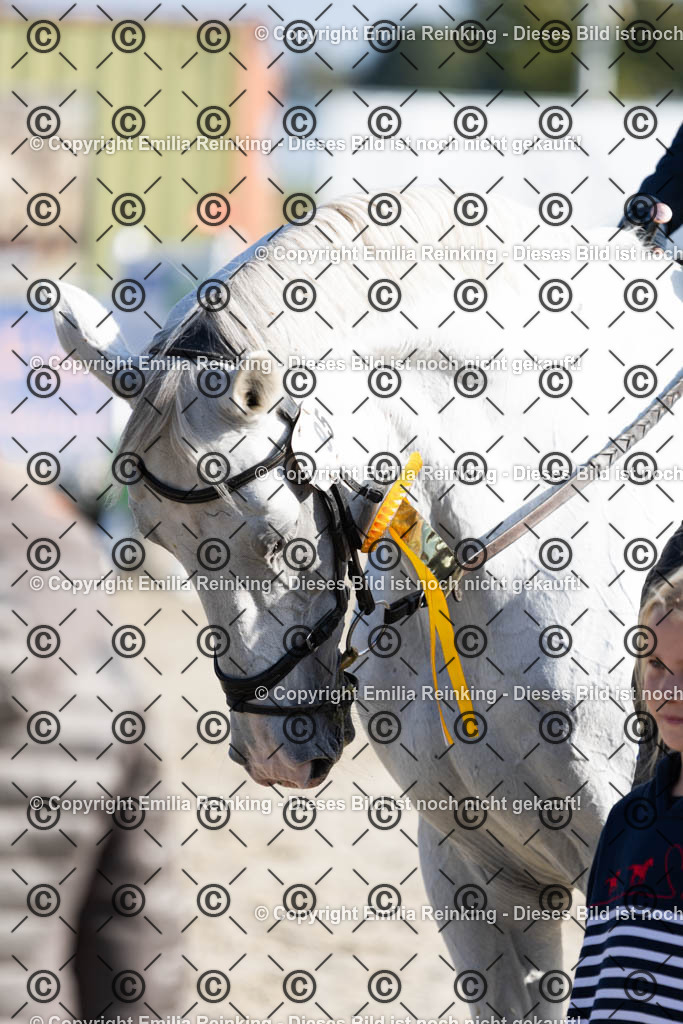 CL5A3391 | Emilia Reinking Fotografie - Realisiert mit Pictrs.com