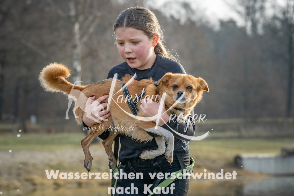 0936_ZZ92518 | kk-dogfotos