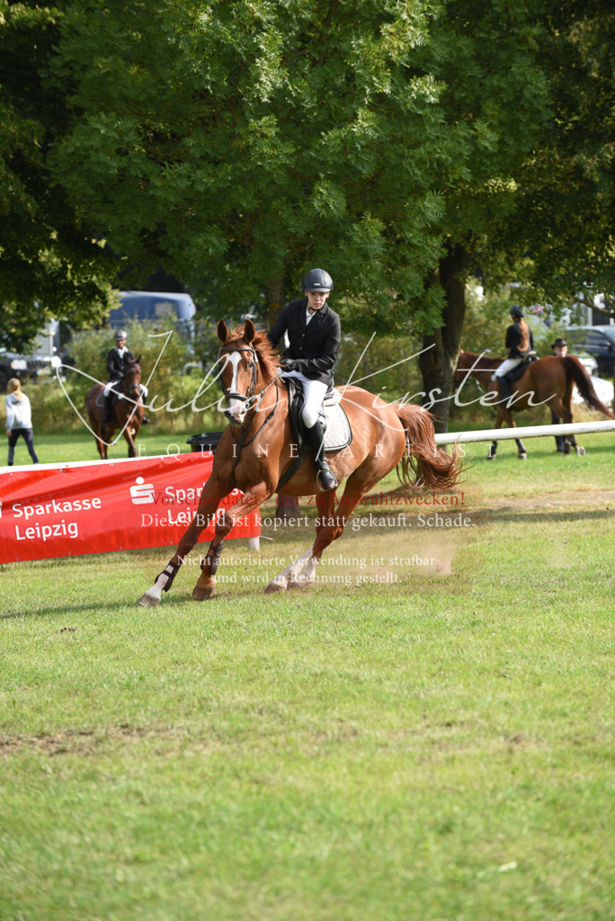 DSC_8795 | Pferde- und Turnierfotografie in Westsachsen. Pferdeportraits, Auftragszeichnungen und intuitive Kunst.