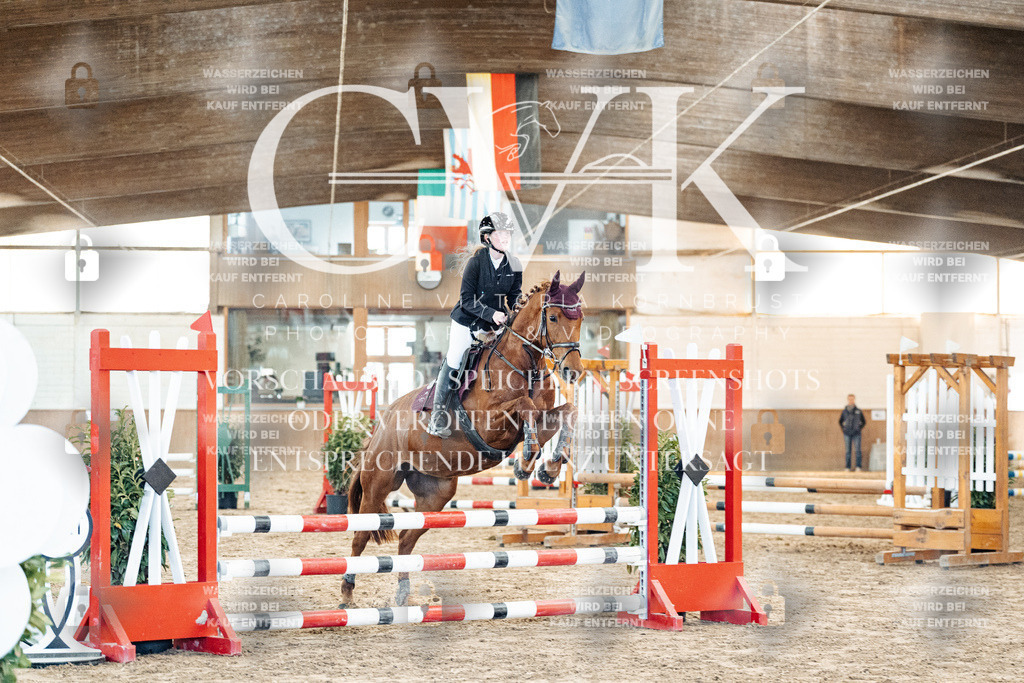 CK903848 | Turnierfotografie Pferdefotografie Trier Rheinland-Pfalz Pferdesport Reitsport Tierfotografie Sportfotografie Pferdevideo Pferdevideografie Equestrianvideography equestrianphotography  - Realisiert mit Pictrs.com