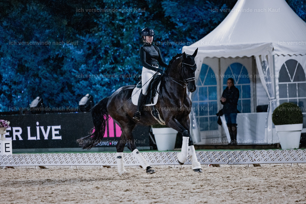 FHClassics-120 | working equitationturnier fotograf videograf stoibphotography marixx film working equitation deutschland reitsport turnierfotografie eventfotografie equestrian events