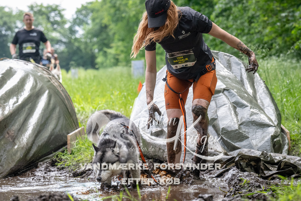 1105_ZZ91345 | kk-dogfotos