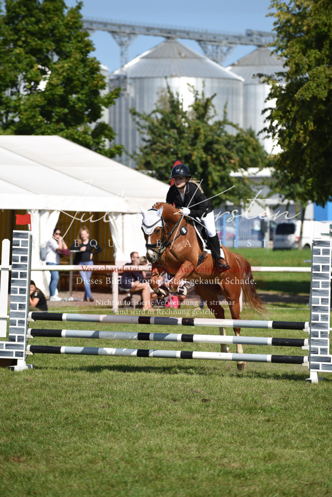 DSC_9116 | Pferde- und Turnierfotografie in Westsachsen. Pferdeportraits, Auftragszeichnungen und intuitive Kunst.