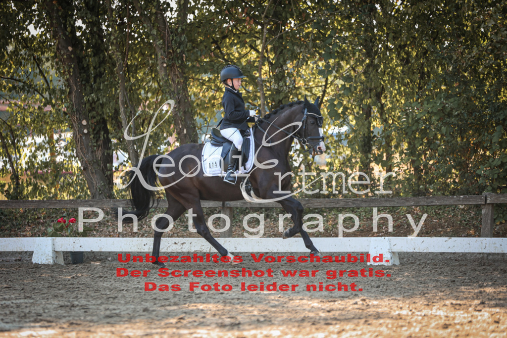 02.SaDrA00430 | Leoni Ertmer Photography - Realisiert mit Pictrs.com