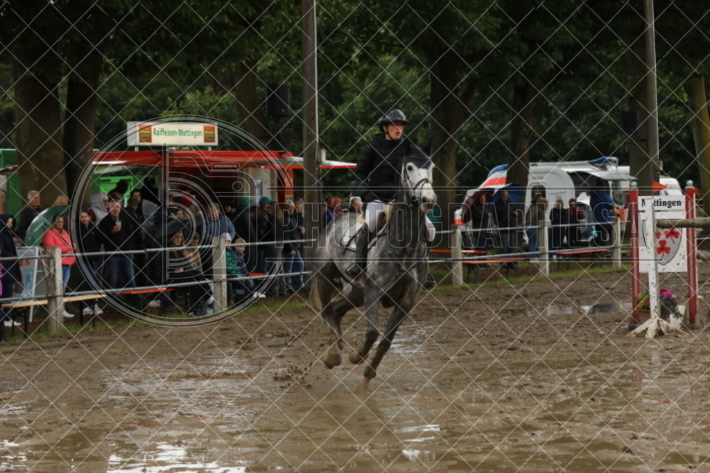 IMG_6153 | photographesa-joergens - Realisiert mit Pictrs.com
