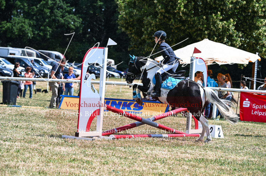 DSC_9735 | Pferde- und Turnierfotografie in Westsachsen. Pferdeportraits, Auftragszeichnungen und intuitive Kunst.