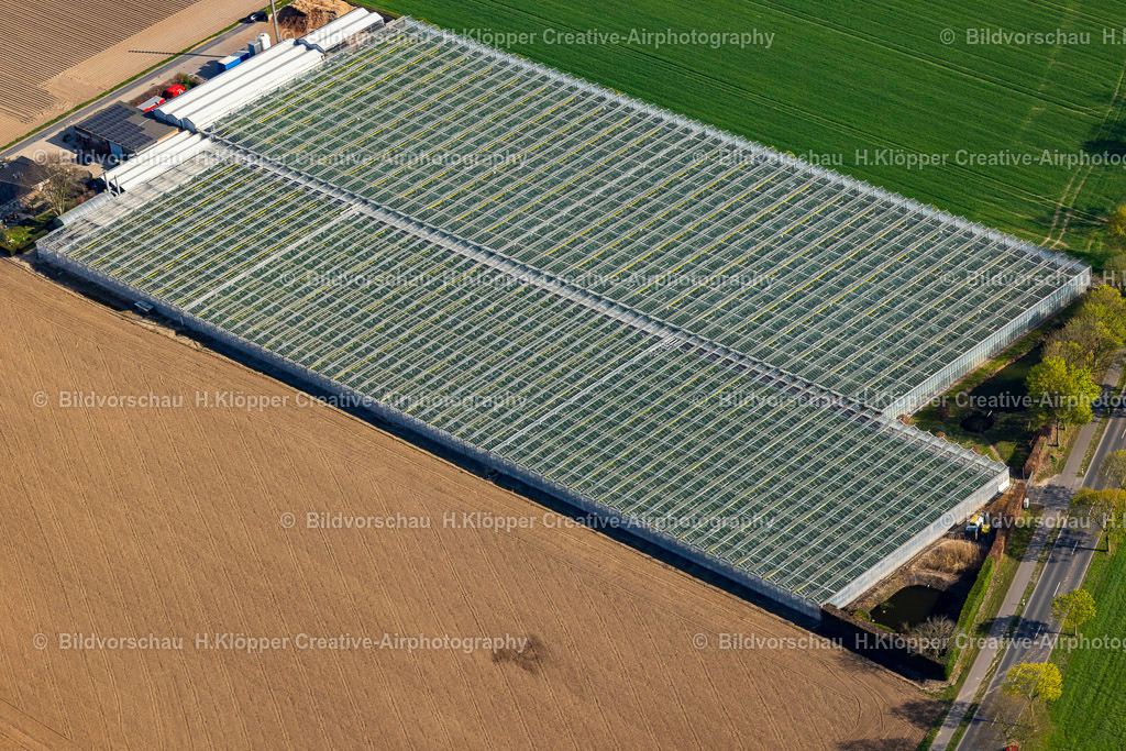 Luftbilder Nettetal-0019 | Luftaufnahme Gewächshaus - Anlagen des Gartenbaubetrieb "BRUNEN Garten- und Landschaftsbau " in Nettetal im Bundesland Nordrhein-Westfalen, Deutschland - Realisiert mit Pictrs.com