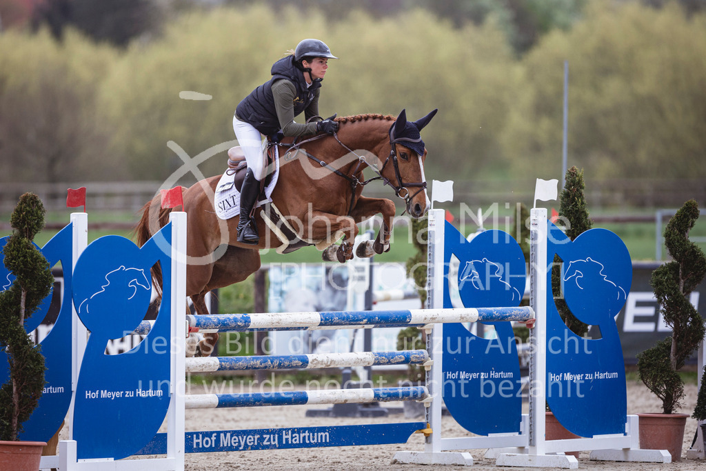 250417_Springpferde-L1-288 | Deine schönsten Turniermomente als professionelle Fotos! Entdecke hochwertige Pferdesport-Fotografie im Online-Shop. Jetzt Fotos finden & bestellen!