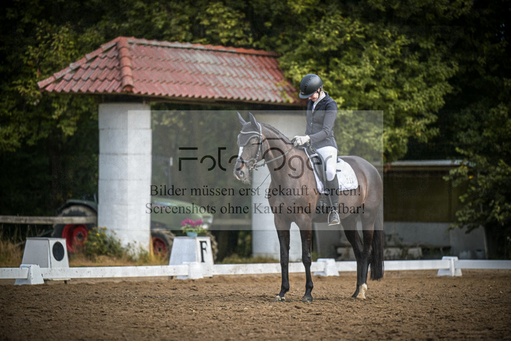 DOS_1904 | Entdecke hochwertige Reitturnierfotos von Foto Oger. Professionell, emotional und authentisch – jetzt Lieblingsmomente im Shop bestellen.Deutschlandweite Turnierfotografie. - Realisiert mit Pictrs.com