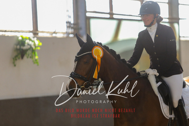 IMG_2290 | Turniersportfotografie; Pferdefotografie; Dressurfotografie