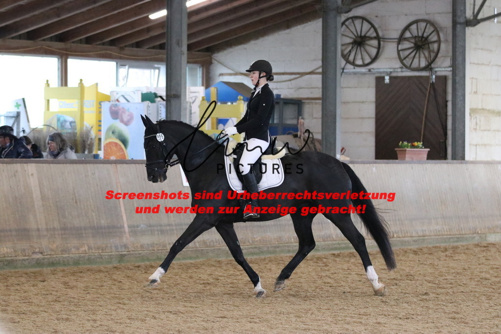 IMG_7853 | lmwpictures - Realisiert mit Pictrs.com