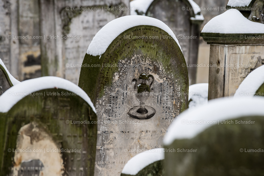 100494-3564 - Jüdischer Friedhof in Halberstadt | max. Bildgröße A2 | 300dpi - Realisiert mit Pictrs.com