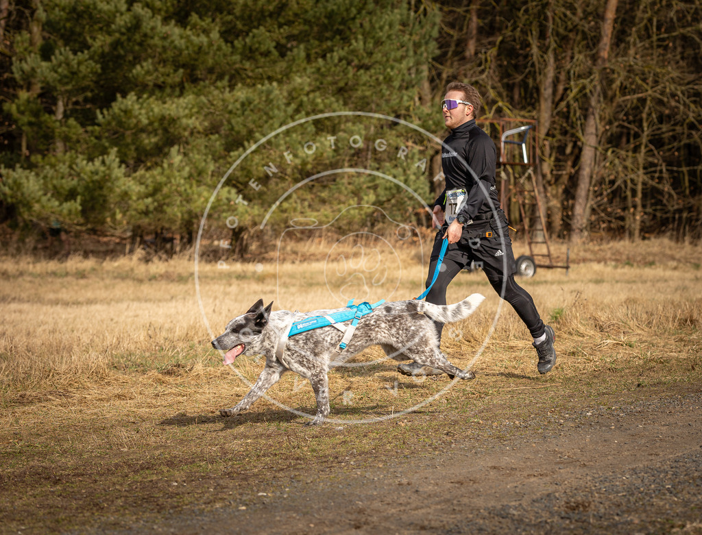 DV3A3677 | Hundefotografie, Tierfotograf, Pfotenfotografie, Fotoshooting Hund, Hunde Portrait, Hundesport, Hundeportraits, Heideshooting, Hunde, Sportfotograf, Hundefotograf, Turnierhundsport, THS,  - Realisiert mit Pictrs.com