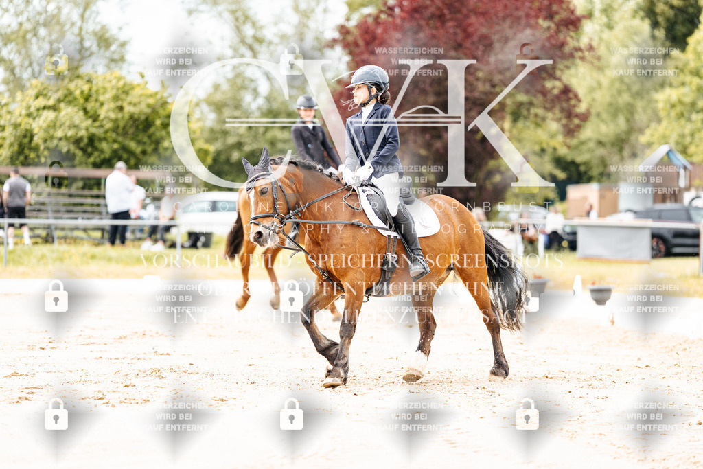 CK902738 | Turnierfotografie Pferdefotografie Trier Rheinland-Pfalz Pferdesport Reitsport Tierfotografie Sportfotografie Pferdevideo Pferdevideografie Equestrianvideography equestrianphotography  - Realisiert mit Pictrs.com