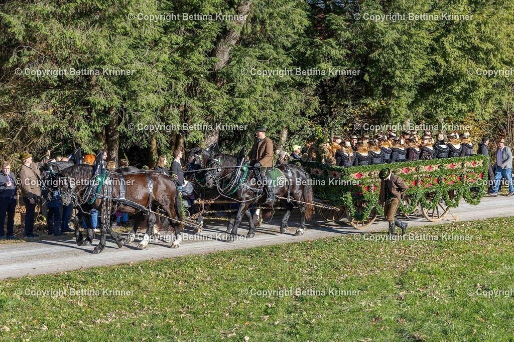LBT25-723 | foto-bettina-krinner - Realisiert mit Pictrs.com