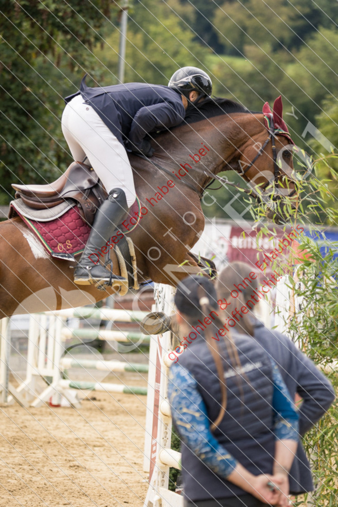 CON_6974 | Sport-, Event- und Tierfotos in Profiqualität. Einfach auswählen, bestellen und herunterladen. Dein Moment – perfekt festgehalten.