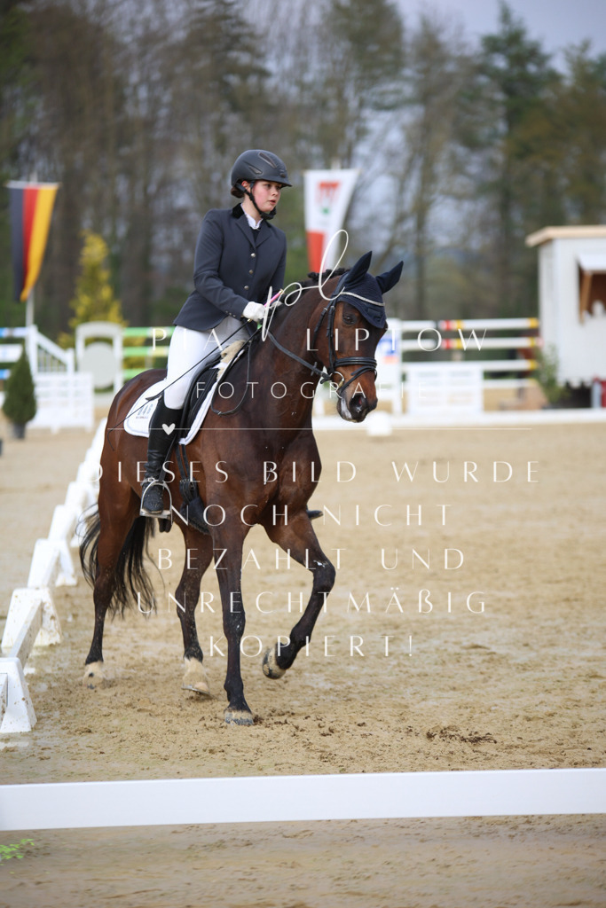 IMGT7720 | pl-fotografie