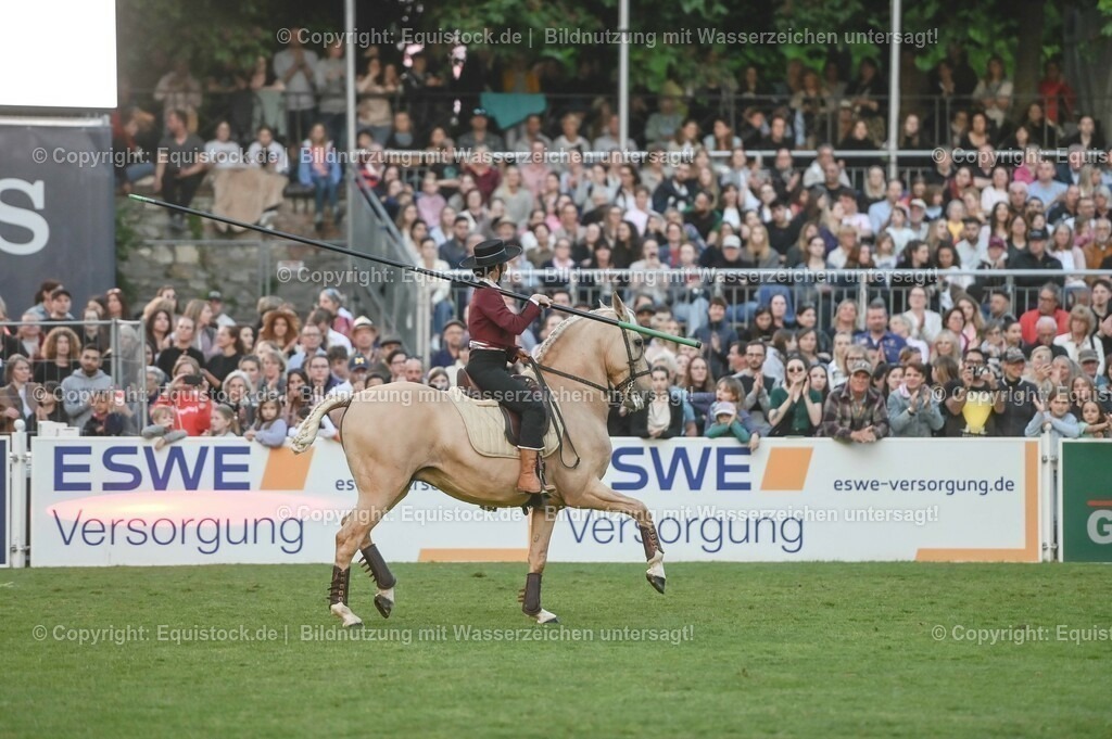 20230526_Pferdenacht_0786 | equistock