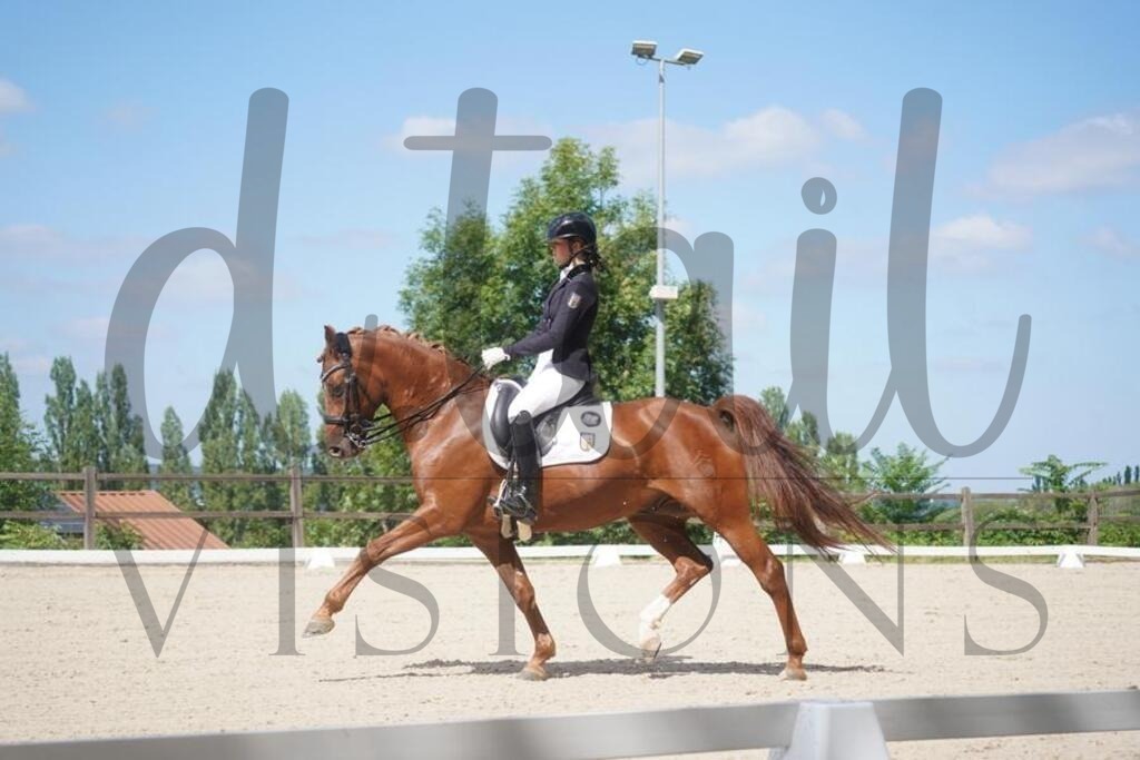 tgbhsonntag (856) | d.tail Visions - Shop - Realisiert mit Pictrs.com