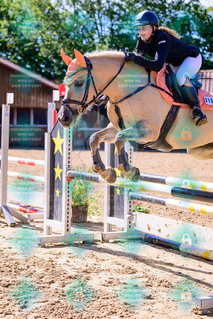 30082026-Giesenbach-Prfg23-0061 | Fokus Hufschlag Fotografie - Realisiert mit Pictrs.com