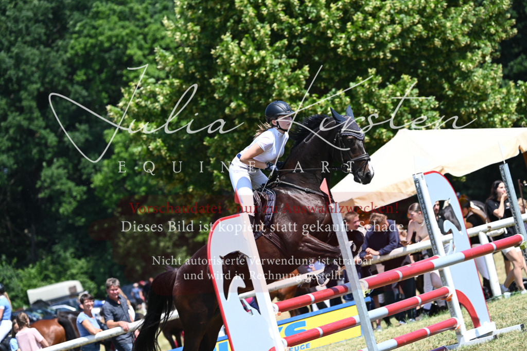 DSC_0733 | Pferde- und Turnierfotografie in Westsachsen. Pferdeportraits, Auftragszeichnungen und intuitive Kunst.