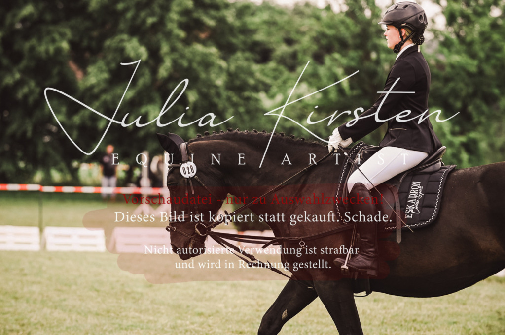 DSC_5118 | Pferde- und Turnierfotografie in Westsachsen. Pferdeportraits, Auftragszeichnungen und intuitive Kunst.
