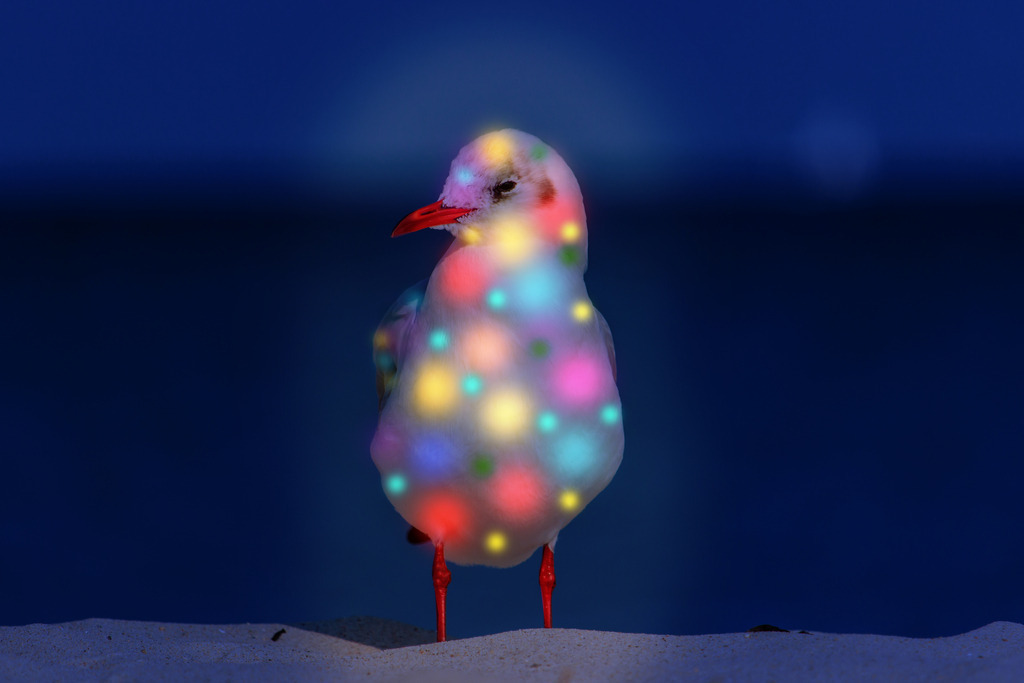 Photoart: Die Glühmöwe – faszinierende Lichtkunst inspiriert von der Natur | Dieses Wandbild im Querformat zeigt die künstlerische Interpretation einer Glühmöwe, inspiriert von der leuchtenden Schönheit eines Glühwürmchens. Wie würde eine Möwe aussehen, wenn sie Licht in sich trägt? Genau diese Frage war die kreative Grundlage für dieses Werk. Die Glühmöwe leuchtet in vielen bunten Farben und strahlt eine beinahe magische Aura aus. Die Kombination aus intensiven Lichtakzenten und dunklem Hintergrund verstärkt die Tiefenwirkung und macht das Motiv zu einem echten Blickfang. Dieses Kunstwerk gehört zur Photoart-Serie: Maritimes Neonlicht und verbindet die Ästhetik der Küste mit einzigartiger Lichtkunst. - Realisiert mit Pictrs.com