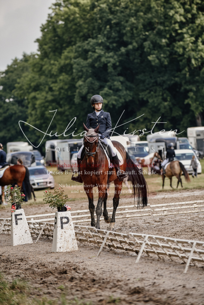DSC_8663 | Pferde- und Turnierfotografie in Westsachsen. Pferdeportraits, Auftragszeichnungen und intuitive Kunst.