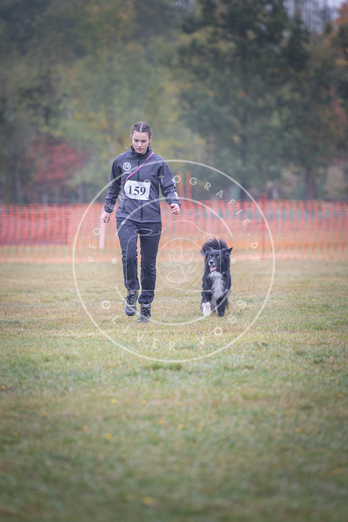 Pfotenfotografie_DV3A8754 | Hundefotografie, Tierfotograf, Pfotenfotografie, Fotoshooting Hund, Hunde Portrait, Hundesport, Hundeportraits, Heideshooting, Hunde, Sportfotograf, Hundefotograf, Turnierhundsport, THS,  - Realisiert mit Pictrs.com