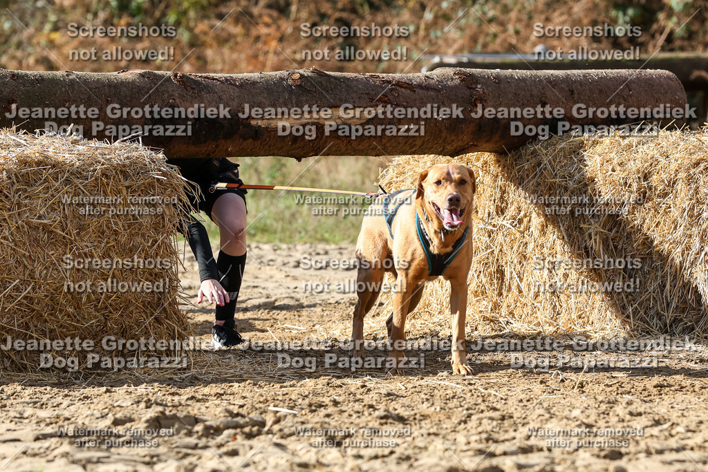 Dog Paparazzi - Strongdog 10-25-4931 | Dog Paparazzi Jeanette Grottendiek Fotografie & Videografie