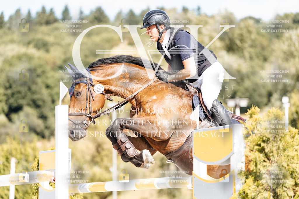 CK909025 | Turnierfotografie Pferdefotografie Trier Rheinland-Pfalz Pferdesport Reitsport Tierfotografie Sportfotografie Pferdevideo Pferdevideografie Equestrianvideography equestrianphotography  - Realisiert mit Pictrs.com