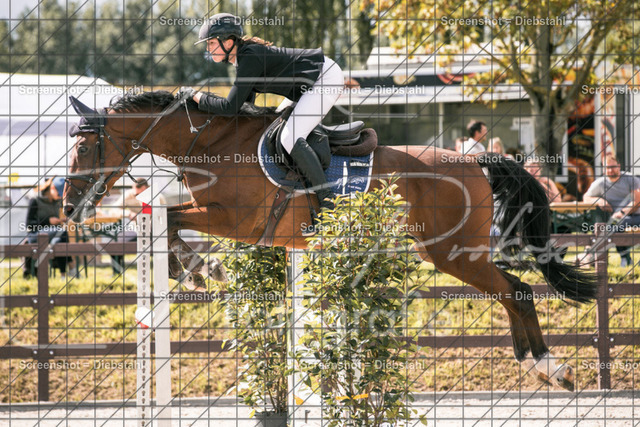 _W6A0553 | ronjaprokoschfotografie - Realisiert mit Pictrs.com
