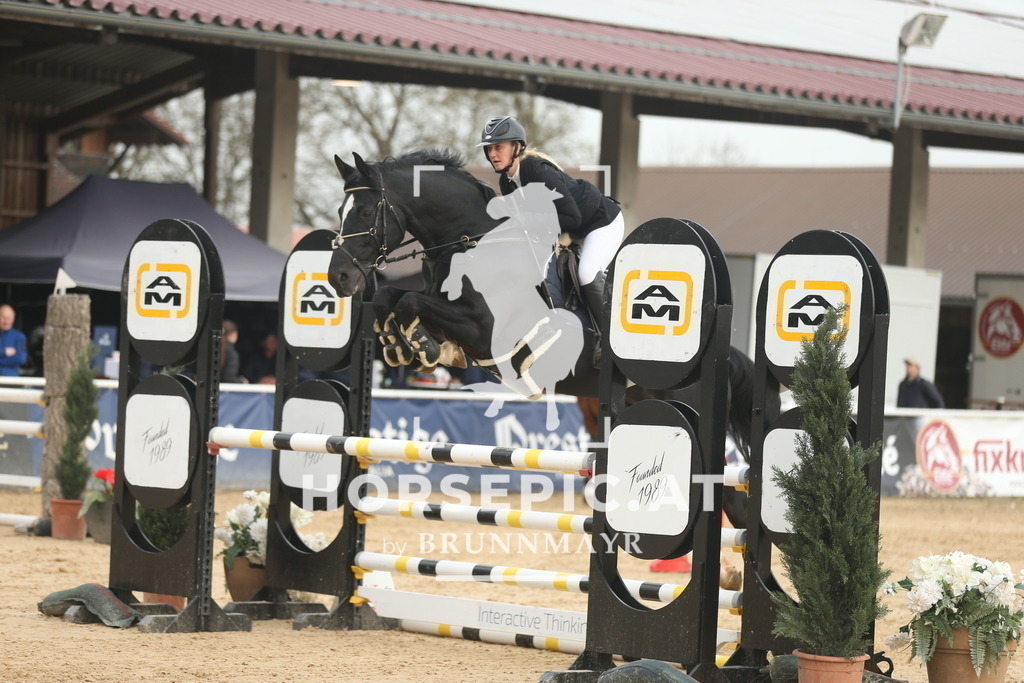 AS8V8270 | Willkommen bei Brunnmayr - Design & Fotografie – Ihrem Spezialisten für Reitturniere und Pferdeveranstaltungen in Oberösterreich, Salzburg und Bayern! Seit über 17 Jahren sind wir leidenschaftlich dabei.