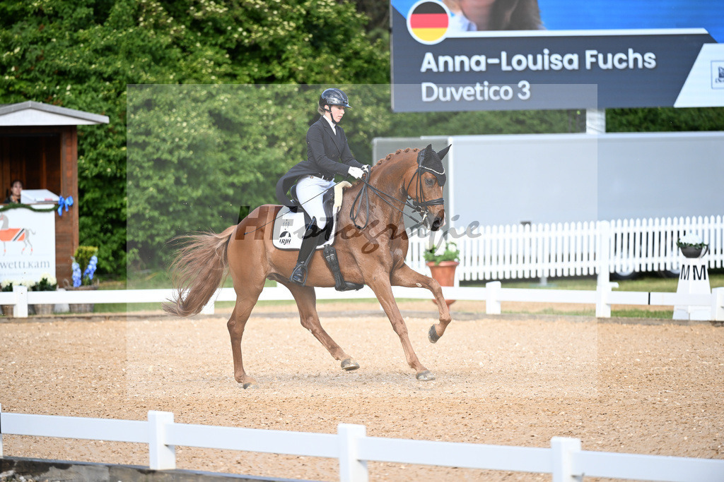 Fuchs_Duvetico_11251916 | hf-fotografie - Realisiert mit Pictrs.com