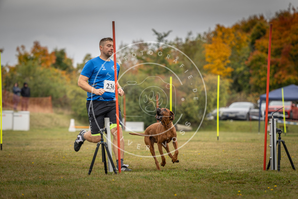 Pfotenfotografie_DV3A5263 | Hundefotografie, Tierfotograf, Pfotenfotografie, Fotoshooting Hund, Hunde Portrait, Hundesport, Hundeportraits, Heideshooting, Hunde, Sportfotograf, Hundefotograf, Turnierhundsport, THS,  - Realisiert mit Pictrs.com