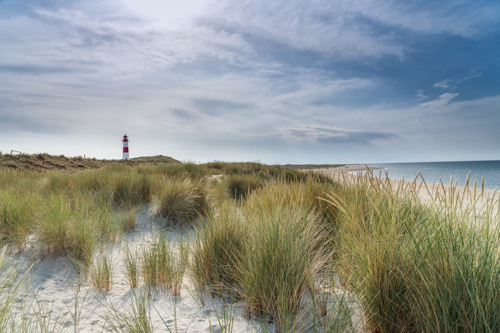 Ellenbogen auf Sylt | Im Naturschutzgebiet findet jeder ein ruhiges Plätzchen - Realisiert mit Pictrs.com