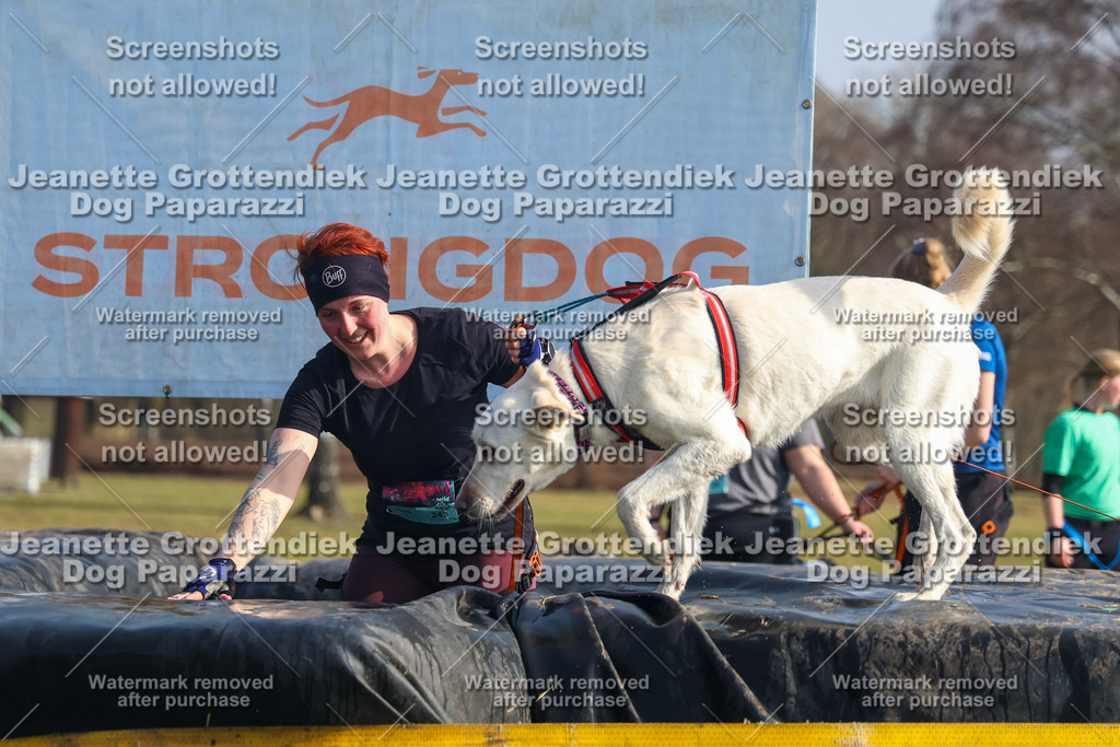 Dog Paparazzi - Strongdog North Mrz26-1917 | Dog Paparazzi Jeanette Grottendiek Fotografie & Videografie - Realisiert mit Pictrs.com