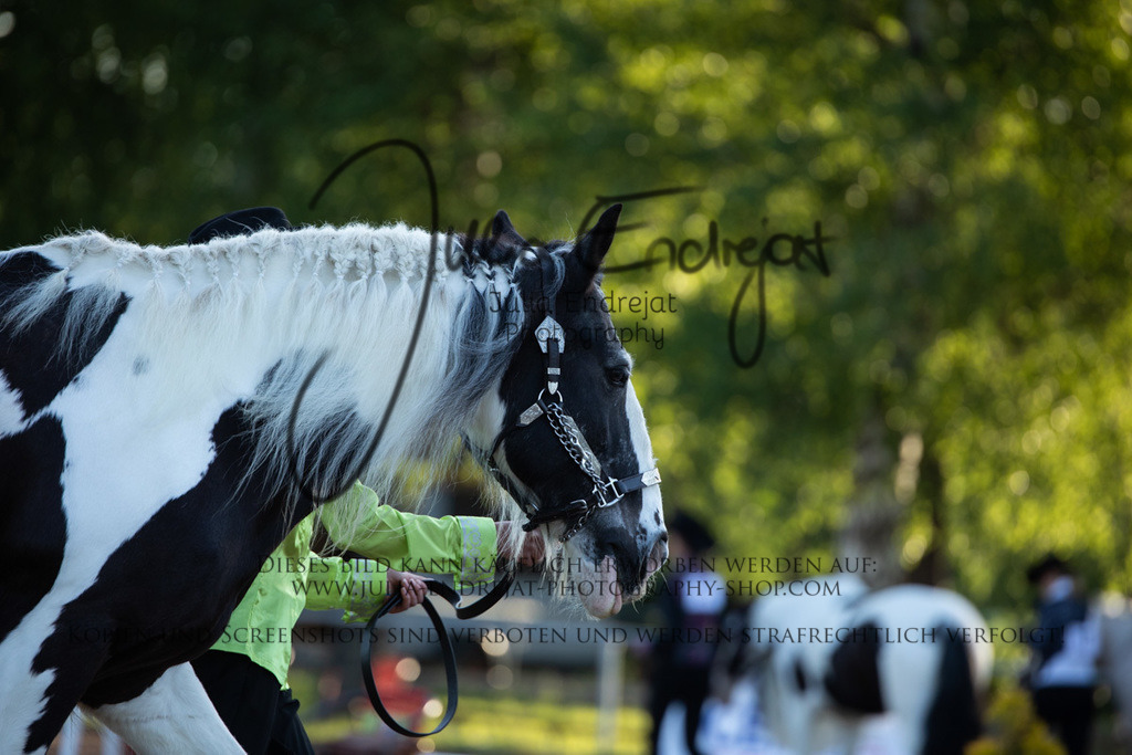 20220515-JuliaEndrejatPhotography-0032 | Julia Endrejat Photography