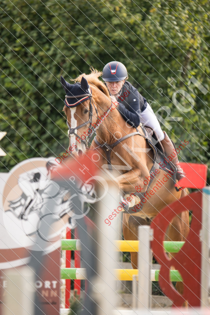 CON_6863 | Sport-, Event- und Tierfotos in Profiqualität. Einfach auswählen, bestellen und herunterladen. Dein Moment – perfekt festgehalten.