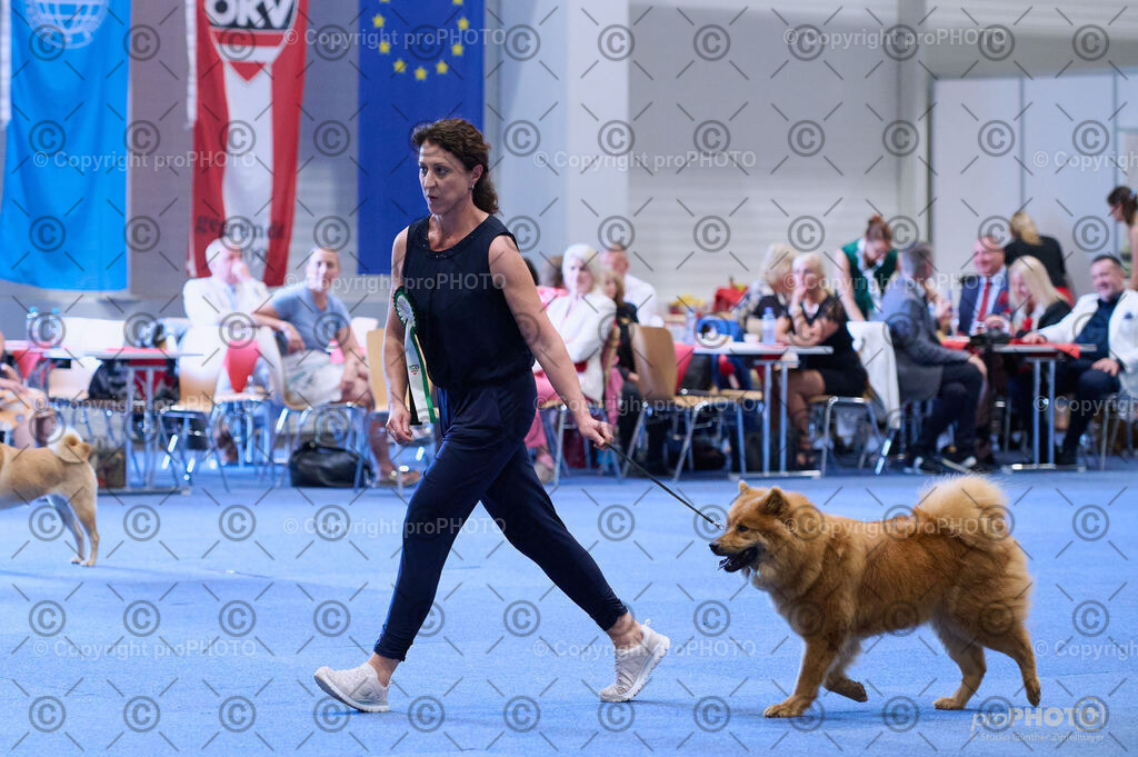 202406_ÖKV-IHA-Tulln24_DSC_3928 | proPHOTO - Realisiert mit Pictrs.com